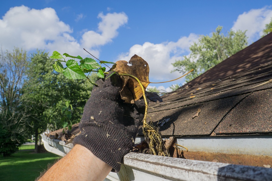 Gutter Cleaning Service Will Keep Your Gutters Clean