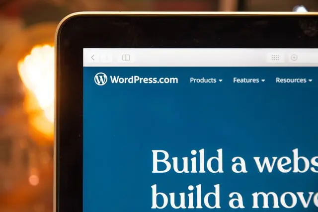 What You Need to Know About WordPress